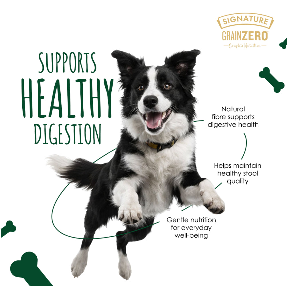 Signature Grain Zero Chicken Chunks Gravy Adult Dog Wet Food image 8