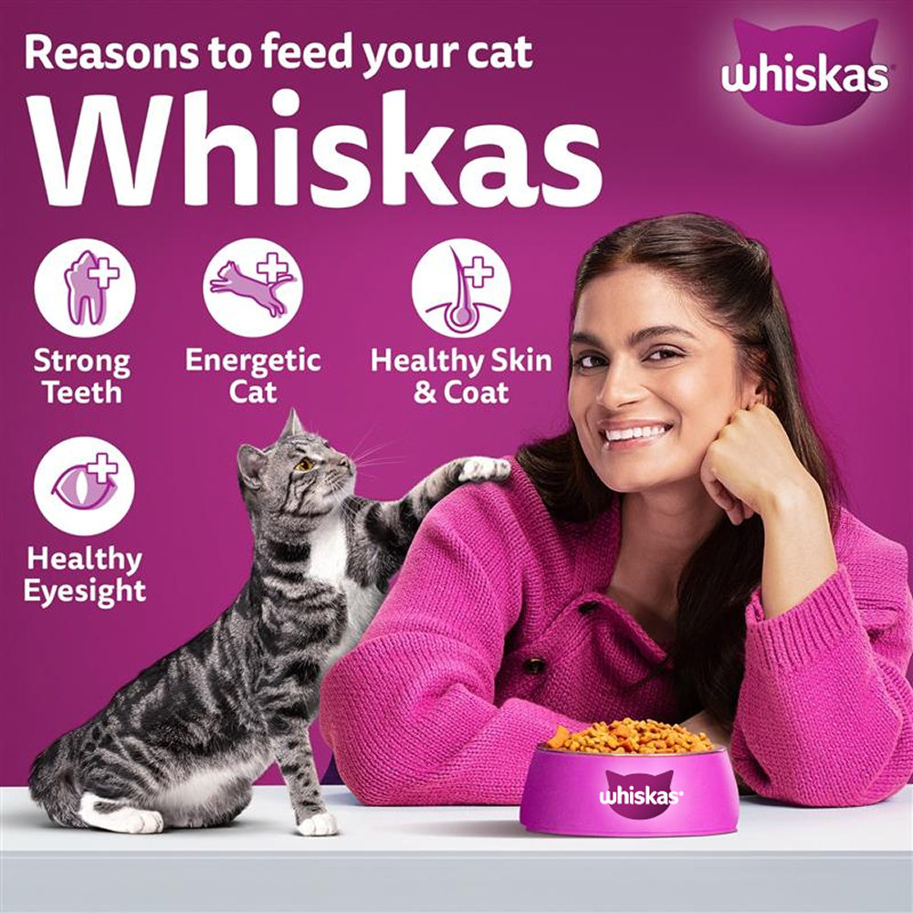 Whiskas Ocean Fish Flavour Adult Cat Dry Food image 8