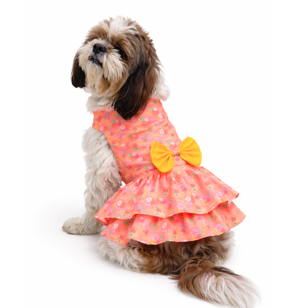 Pawgypets Softy Casual Dress for Dogs (Peach)