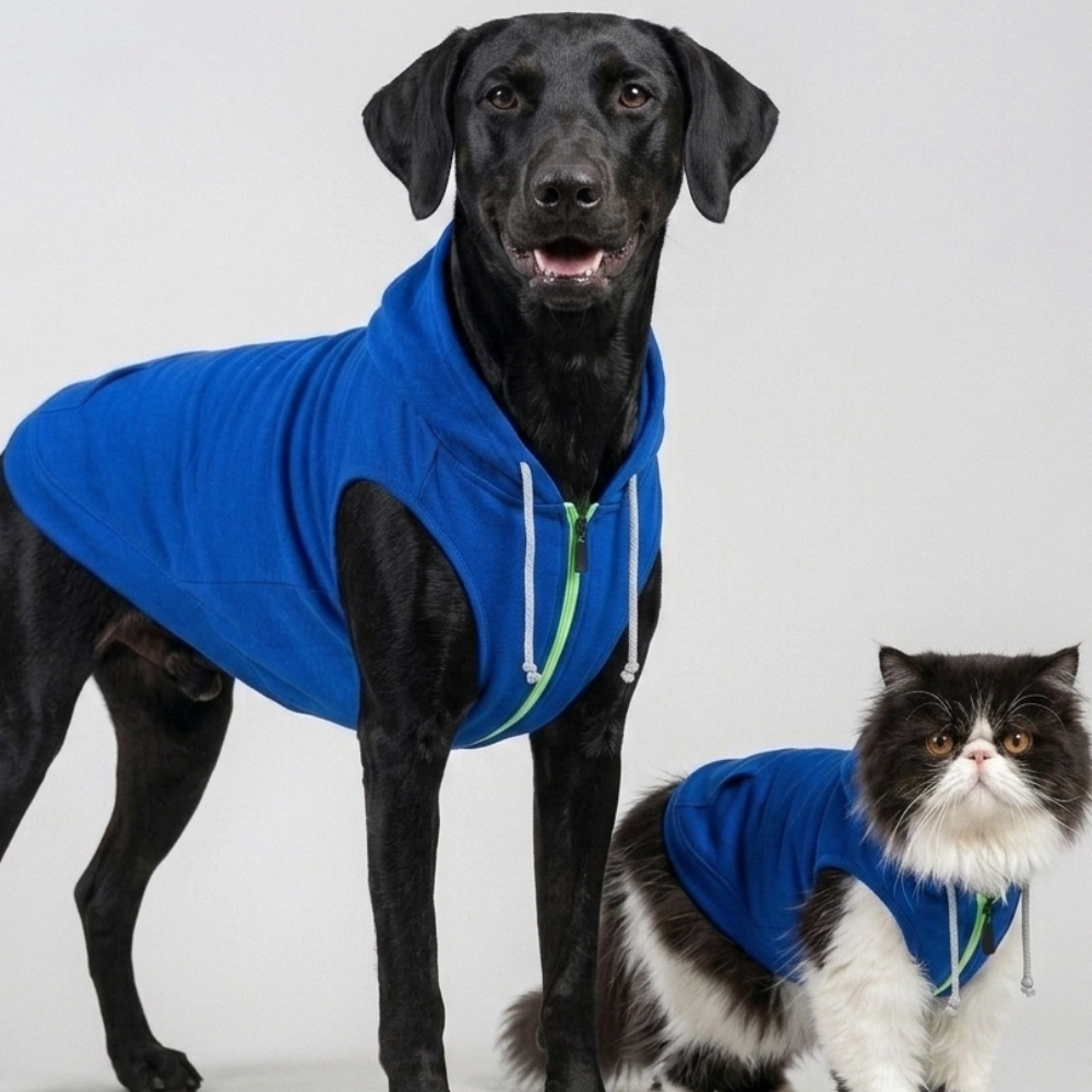 Skatrs Breezy Hoodie with Pockets for Dog and Cats (Blue) image 2