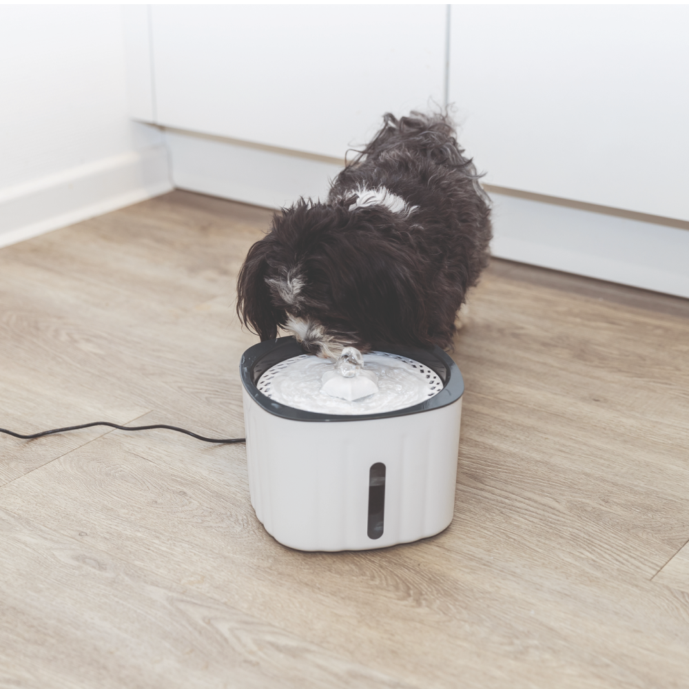 Trixie Water Drinking Fountain Flower for Dogs and Cats (White and Grey) image 6