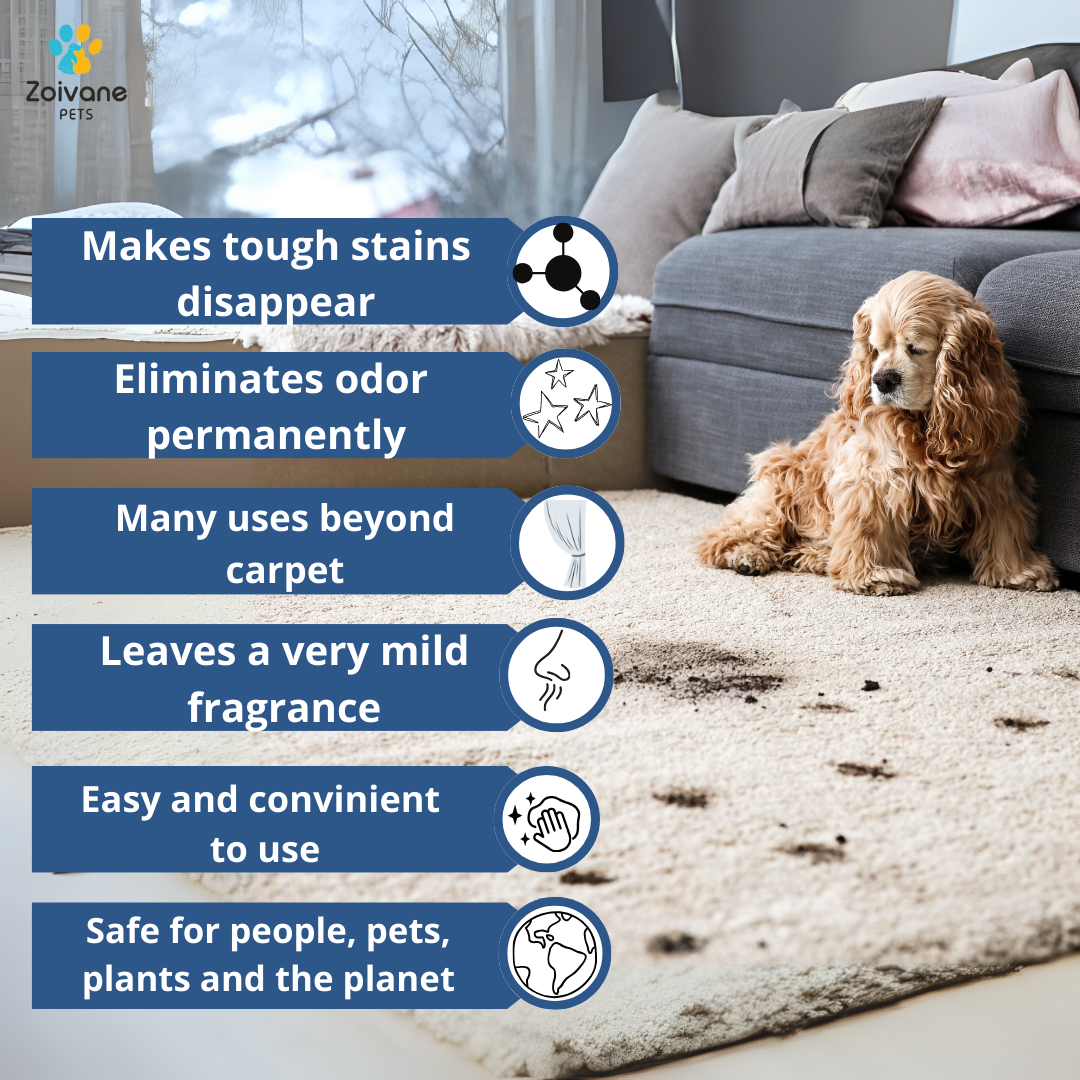 Zoivane Stain and Odour Eliminator for Dogs and Cats image 3