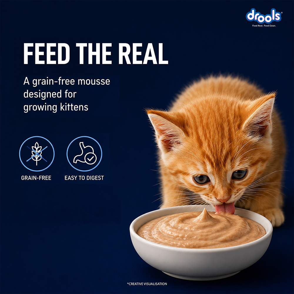Drools Ocean Fish Mousse Kitten Cat Wet Food image 3