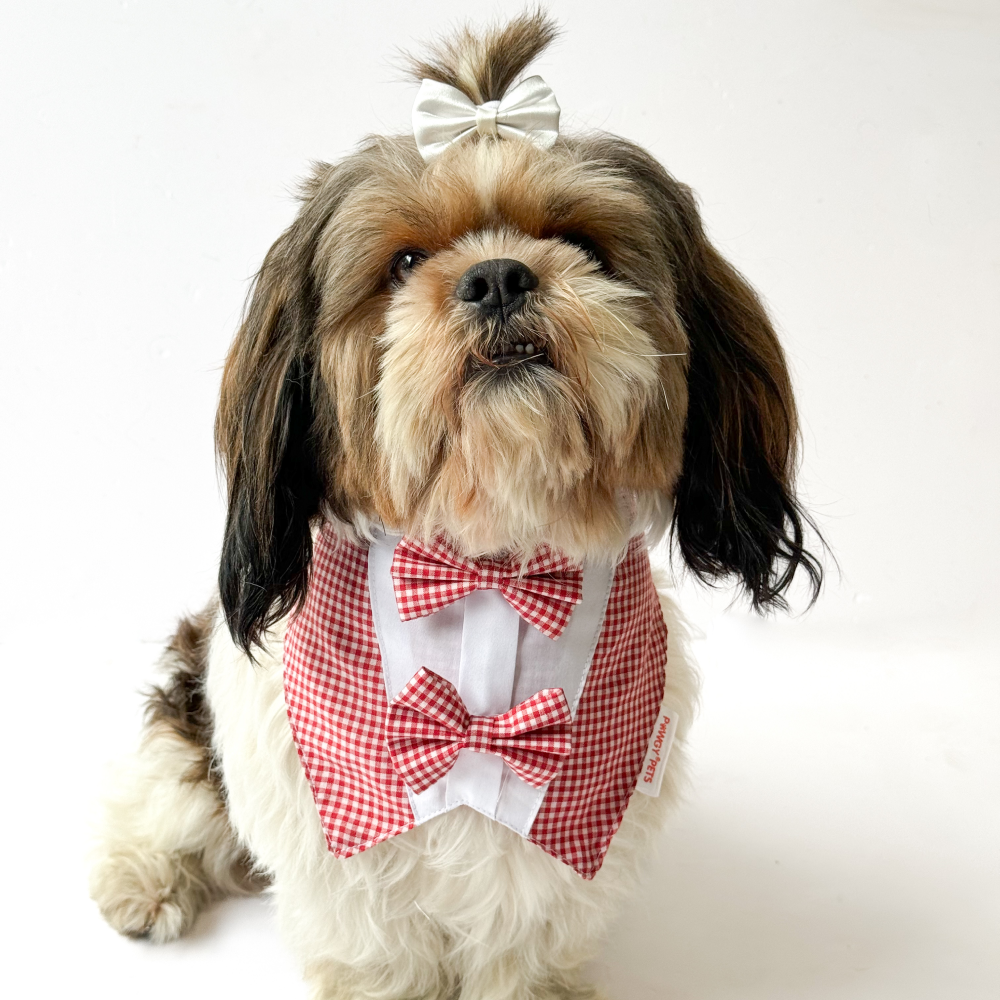 Pawgypets Casual Check Bandana for Dogs and Cats (Red)
