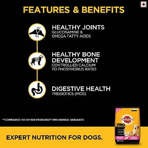 Pedigree PRO Expert Nutrition for Large Breed Puppy Dry and Chicken Chunks in Gravy Puppy Wet Food Combo image 6