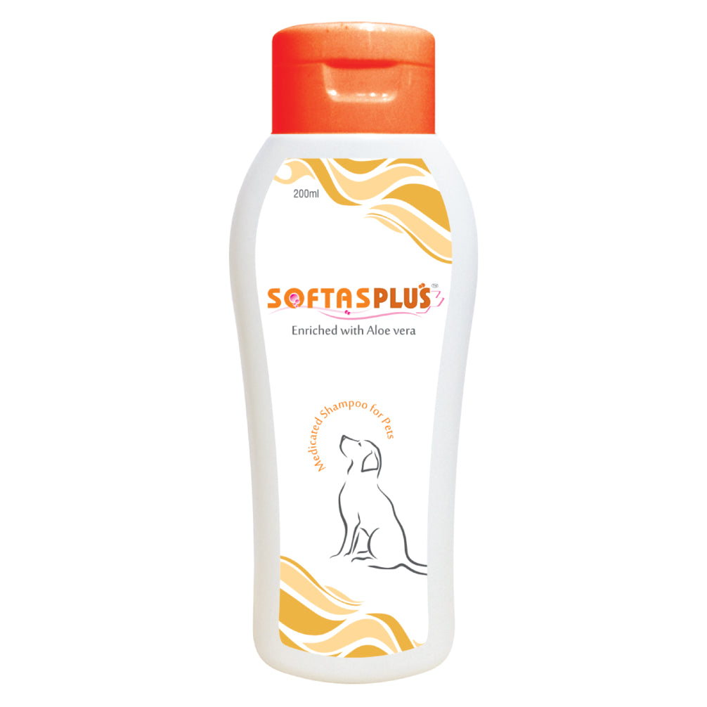 Intas Softas Plus Tick & Flea Shampoo for Dogs image 2
