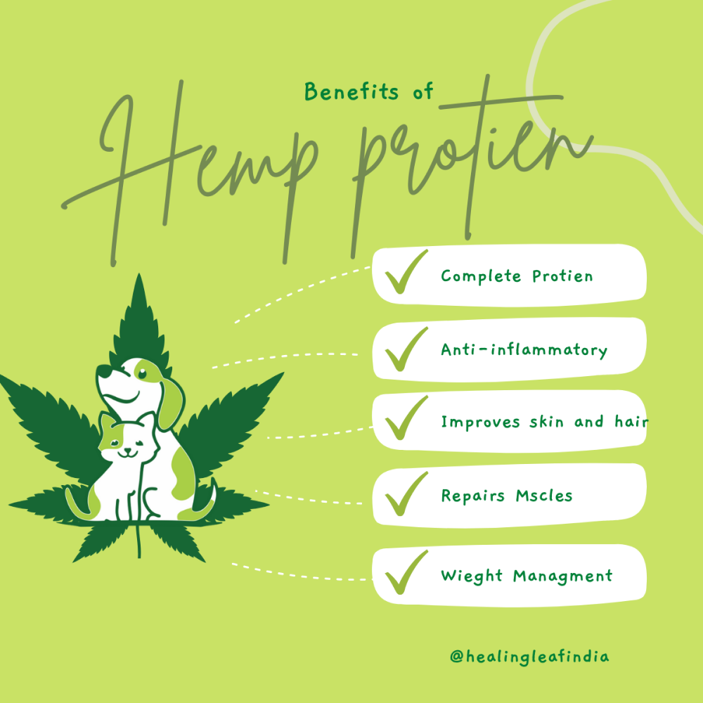 Healing Leaf Hemp Protein Powder for Dogs and Cats image 3