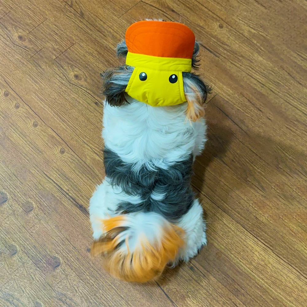 Dogobow Duckie Cap for Dogs and Cats (Yellow/Orange) (Get a Bow Free) image 5