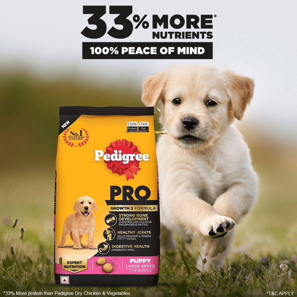 Pedigree PRO Expert Nutrition for Large Breed Puppy Dry and Chicken Chunks in Gravy Puppy Wet Food Combo image 4