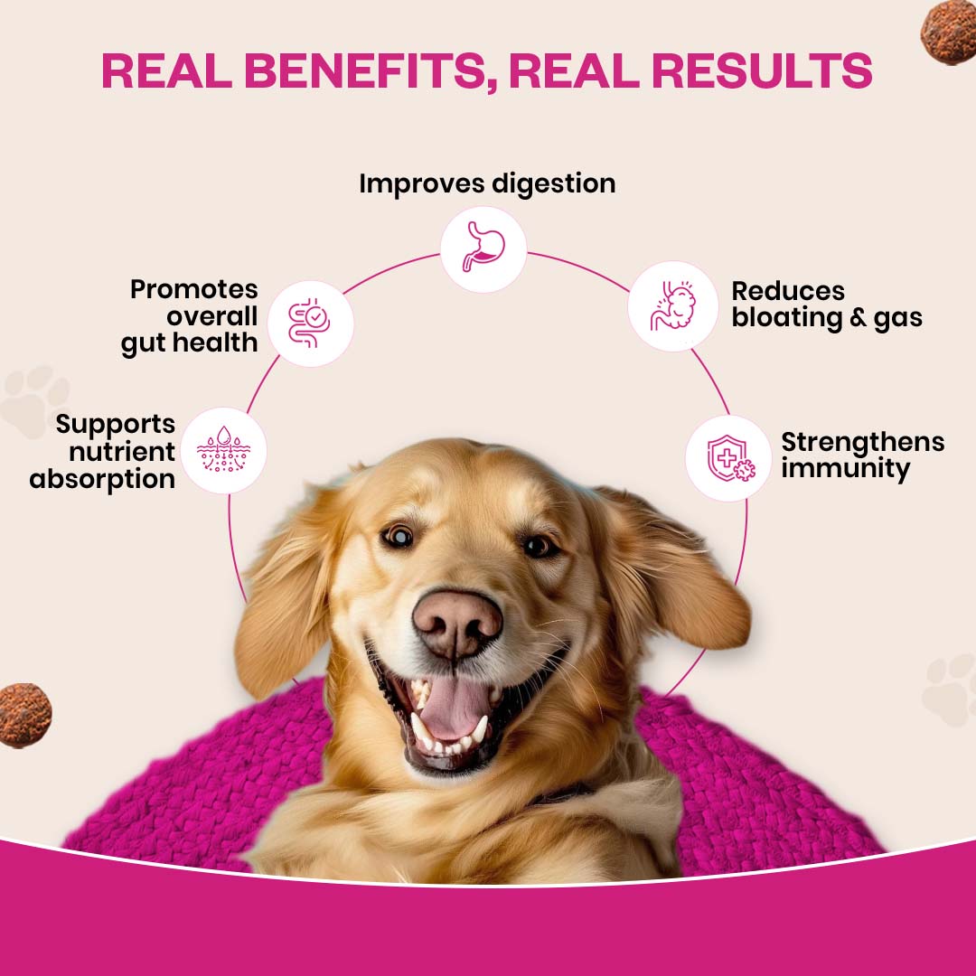 TailsAlive Probiotic Chicken Flavor Soft Chews Supplements for Dogs image 4