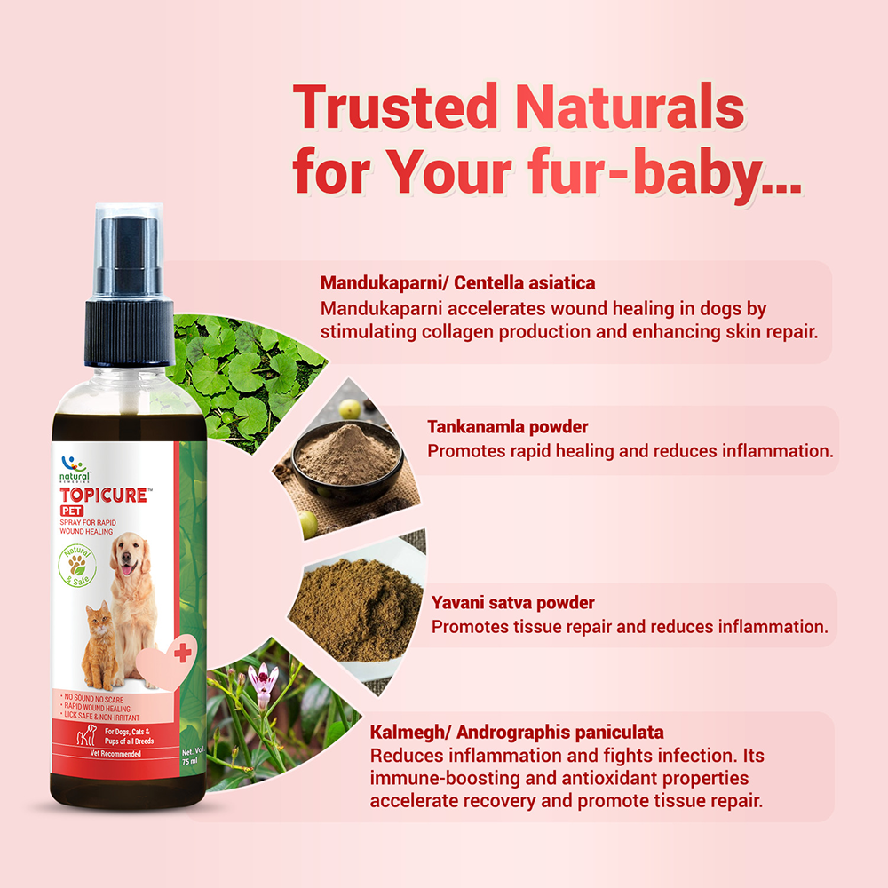 Natural Remedies Topicure Pet Wound Healing Spray for Dogs and Cats image 2