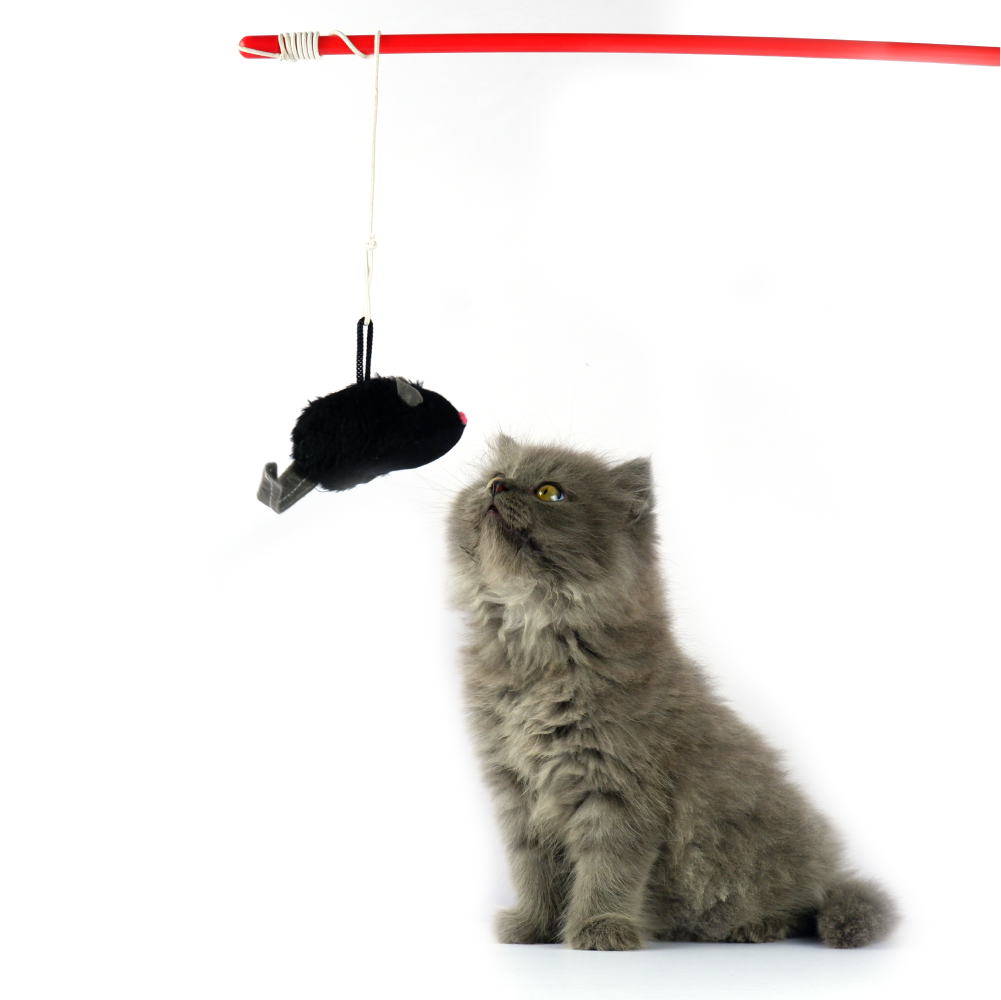Trixie Squeaky Playing Rod Toy for Cats (Black) image 4