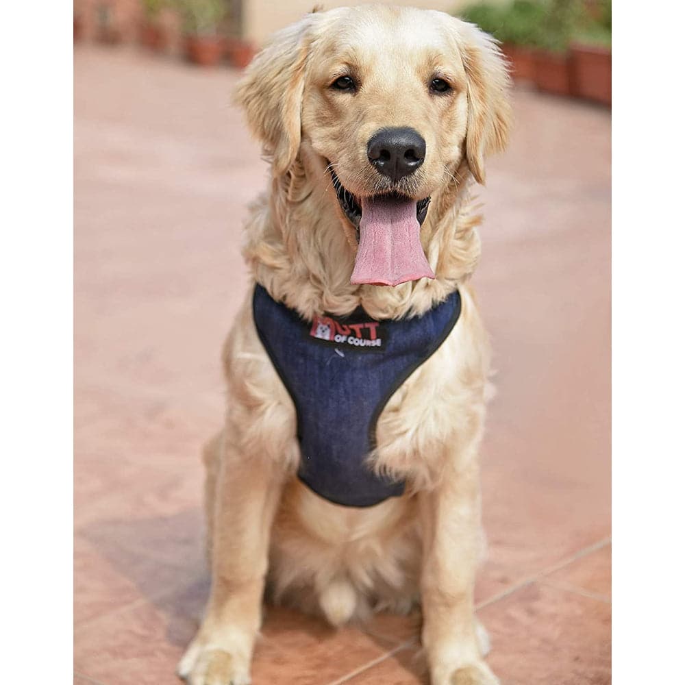 Mutt of Course Denim Harness for Dog (Dark Blue) image 3