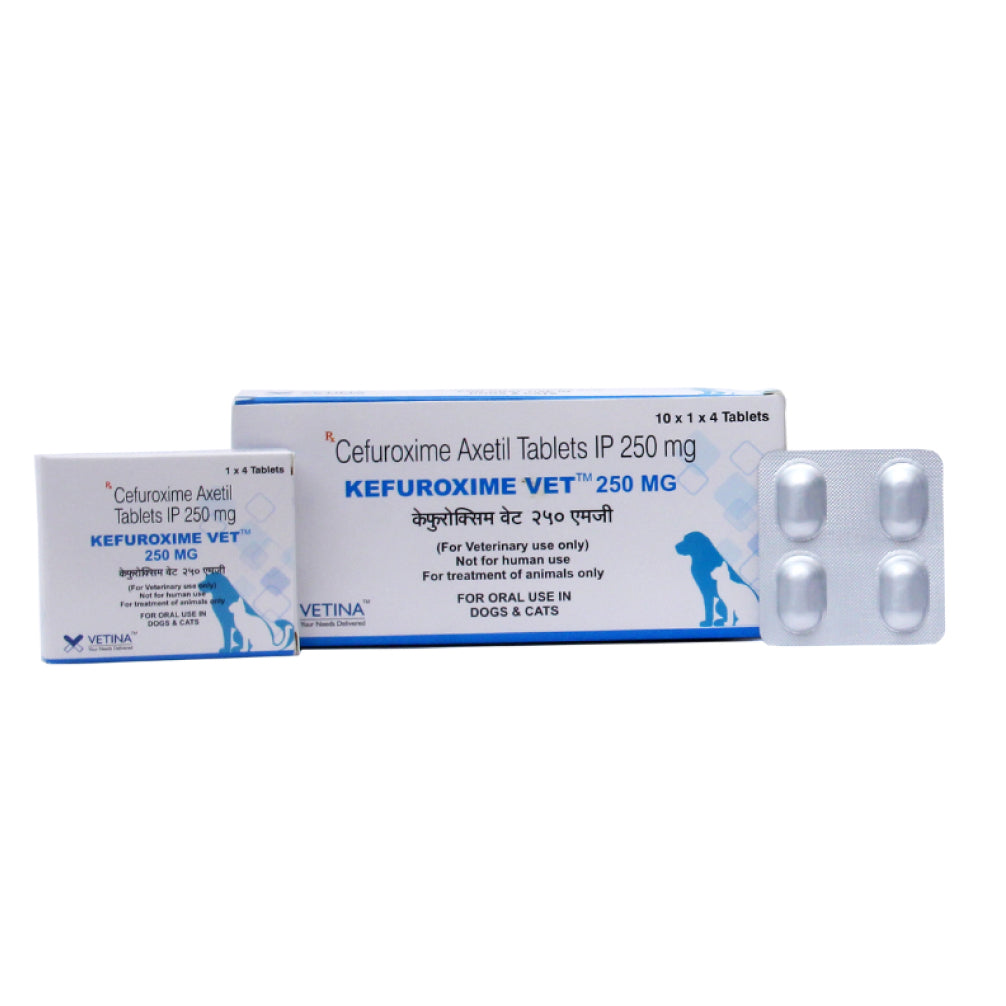 Vetina Kefuroxime Vet 250mg Tablets (Cefuroxime Axetil) for Dogs and Cats