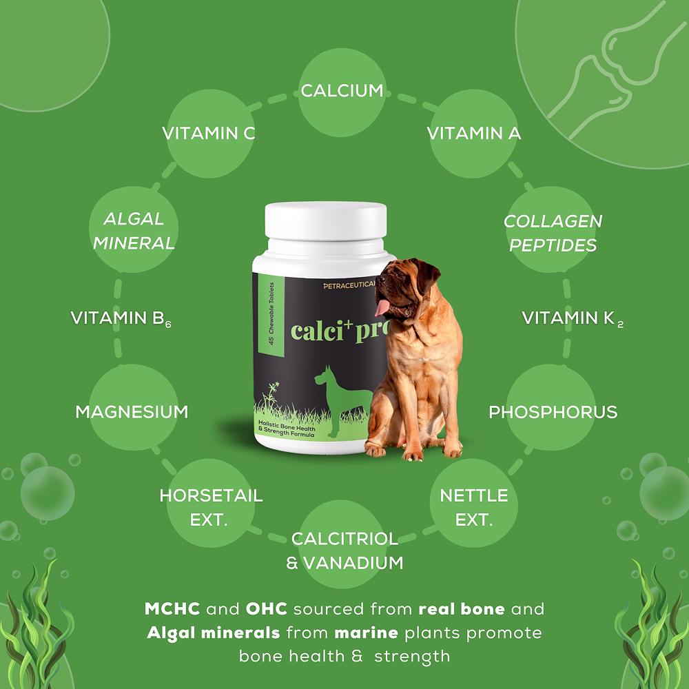 Venttura Calci Pro Plus Chewable Calcium Supplement Tablets for Dogs image 4