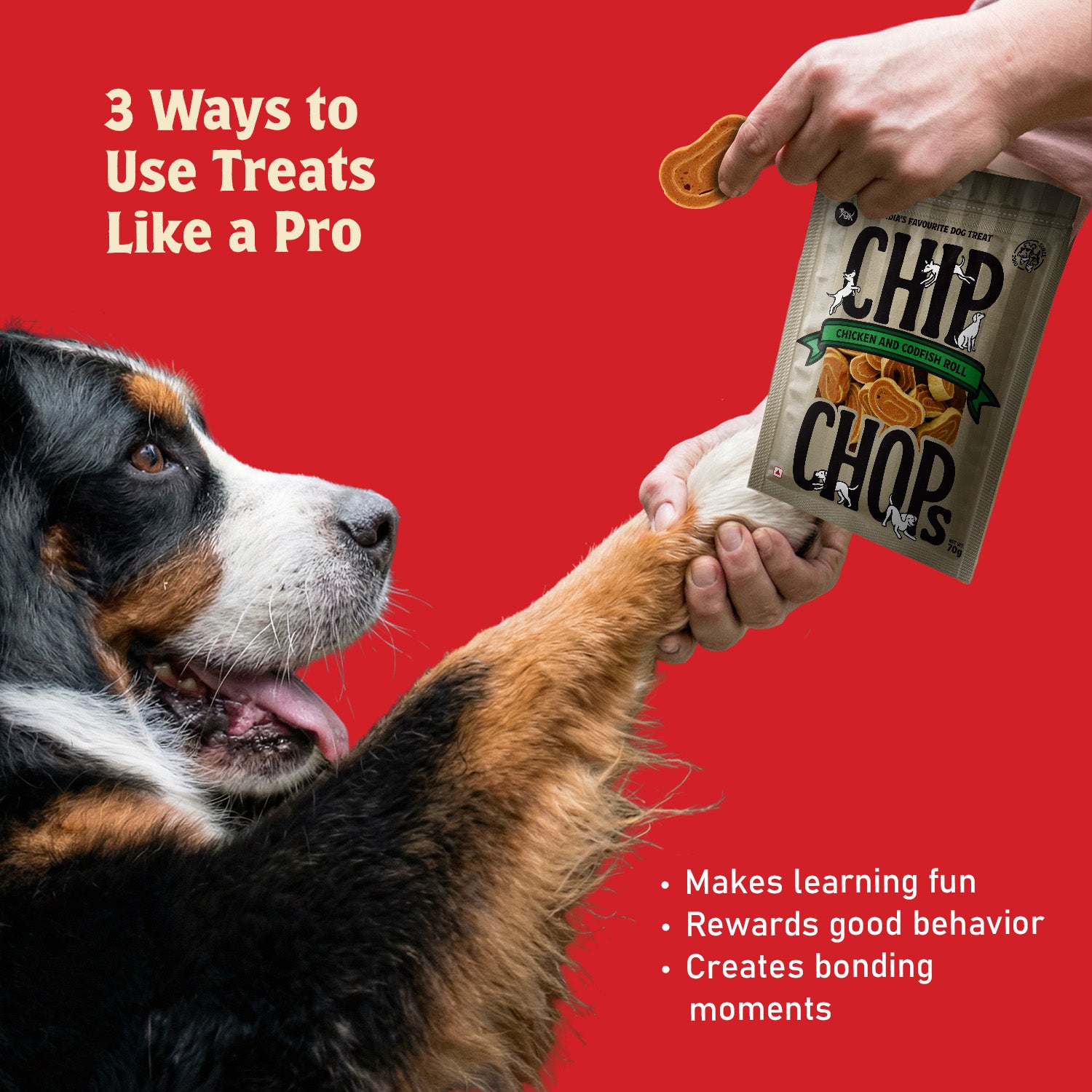 Chip Chops Chicken and Codfish Rolls Dog Treats image 4
