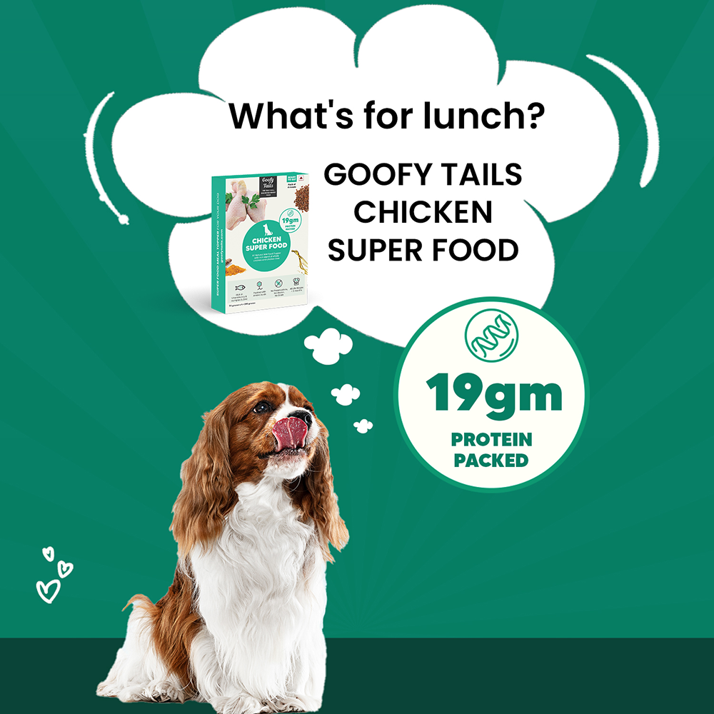 Goofy Tails Chicken Super Food Topper for Dogs & Puppies image 5