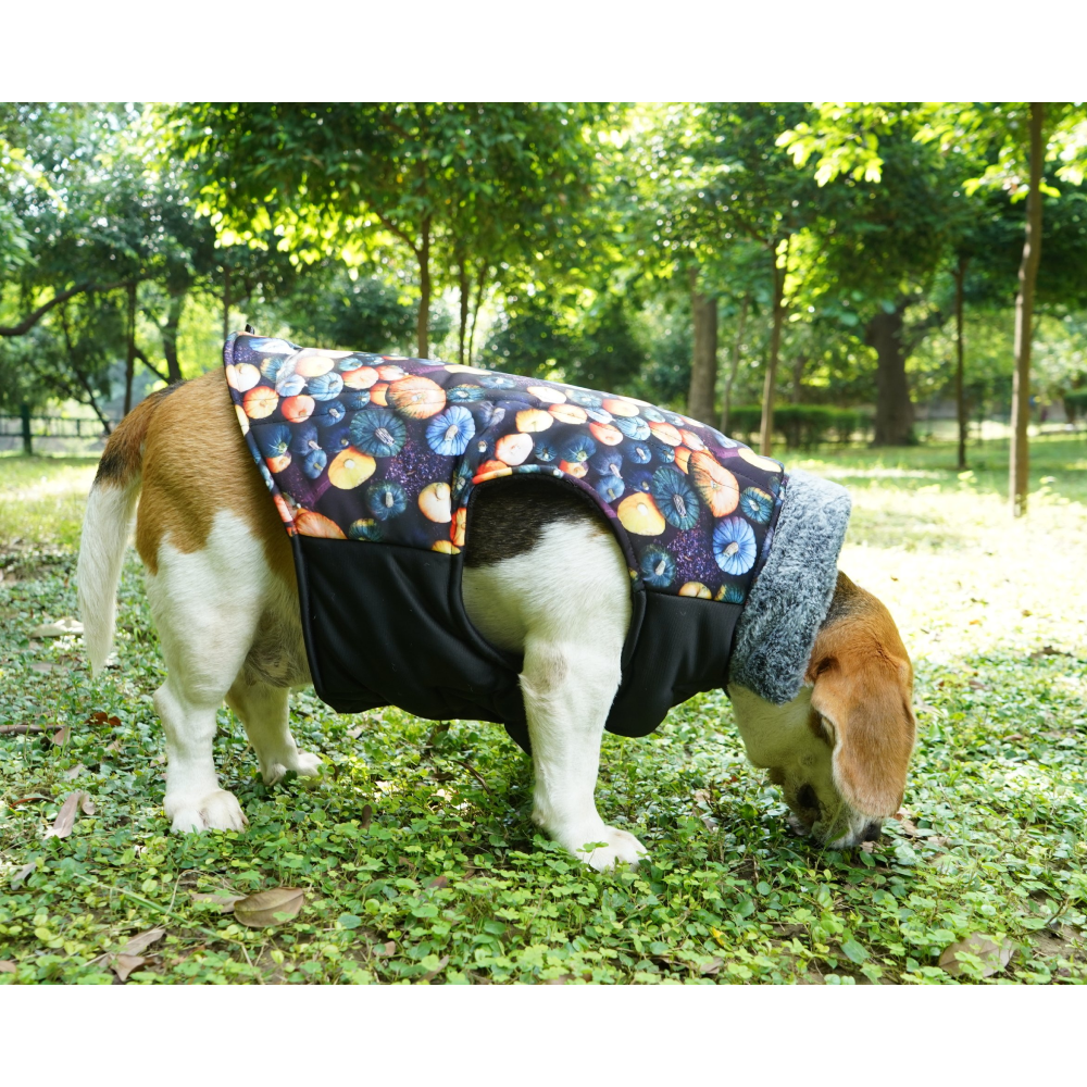 Up4pets Pumpkin Spice Polyester Fleece Jackets for Dogs and Cats image 4