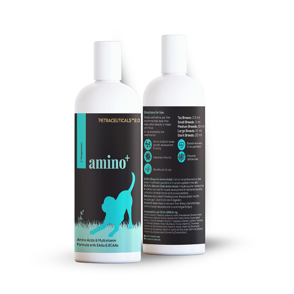 Venttura Omega 3 Plus Skin & Coat with Amino Plus Syrup for Dogs image 8