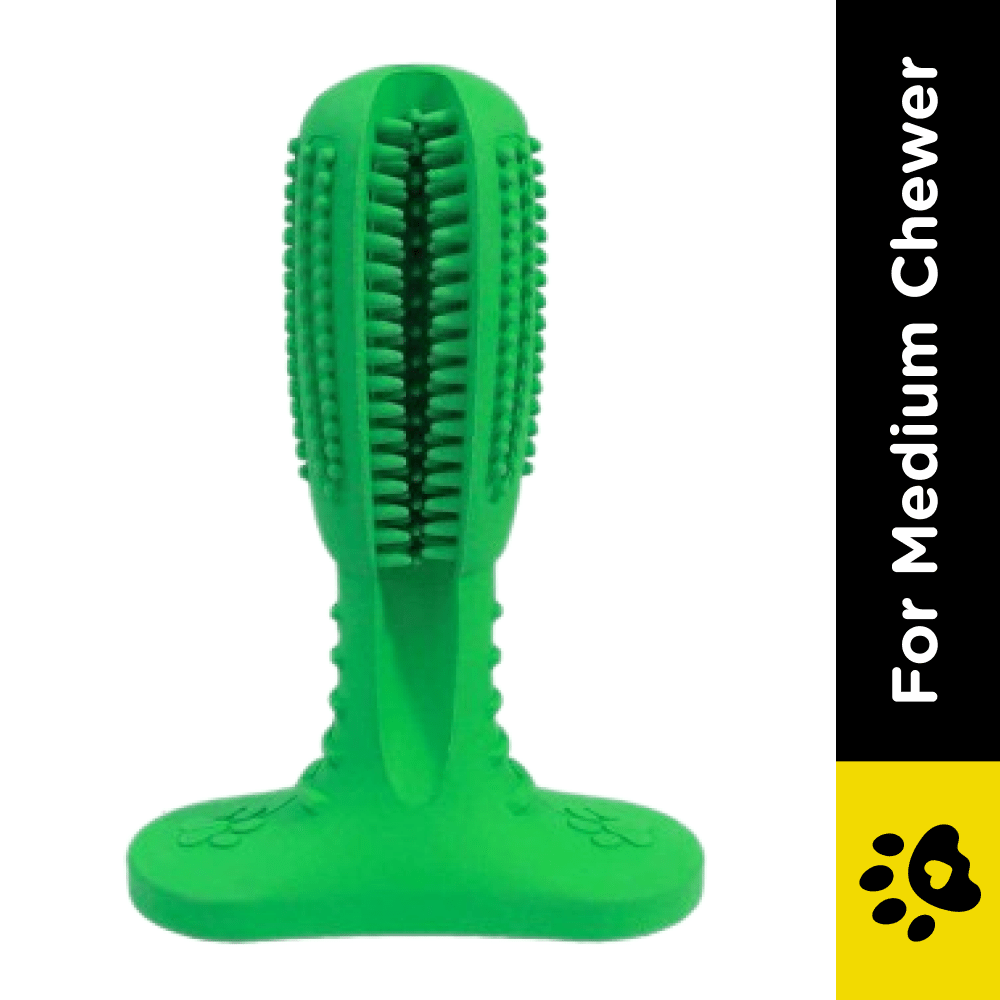 Pawsindia Dental Toy for Dogs (Green) image 2