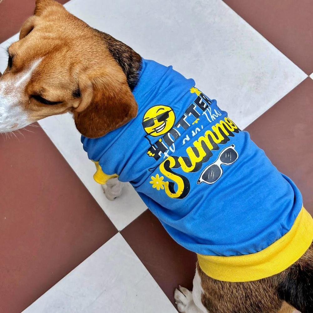 Pet Set Go Hotter Than The Summer Sleeveless T Shirt for Dog (Blue) image 4