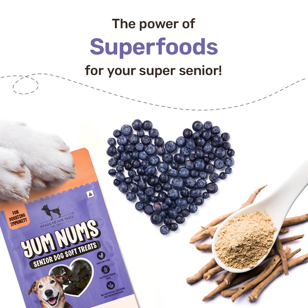 HUFT Yum Nums Grain Free Chicken, Blueberries & Ashwagandha Soft & Chewy Sticks Senior Dog Treats image 5