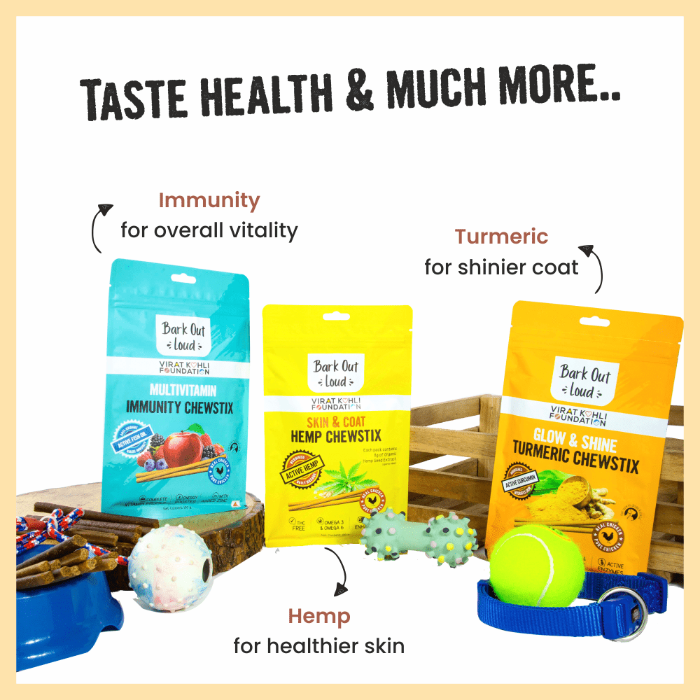 Bark Out Loud Treat Box for Dogs and Cats (Pack of 4) image 3