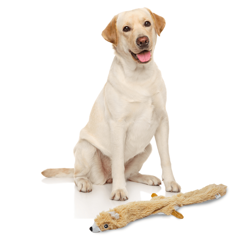 Barkbutler x Fofos Skinneez Squirrel Toy for Dogs (Brown) image 7