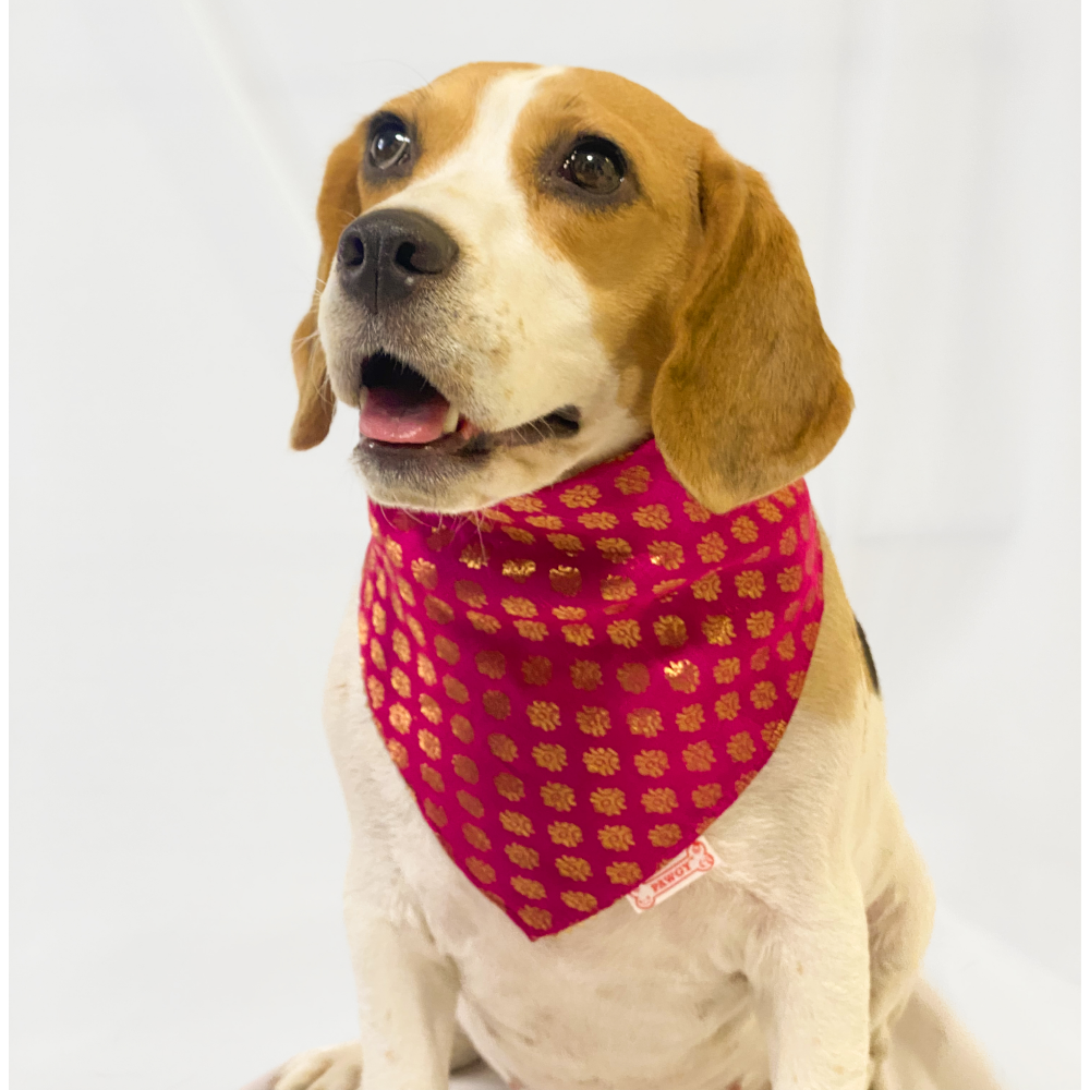 Pawgypets Occasion Wear Bandana for Dogs and Cats (Pink) image 3
