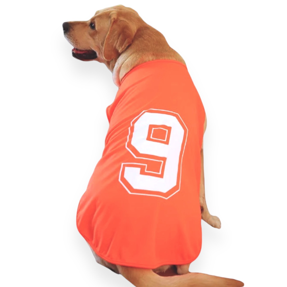 Talking Dog Club Player Ltd Edition Sports Jersey for Dogs (Orange) image 4