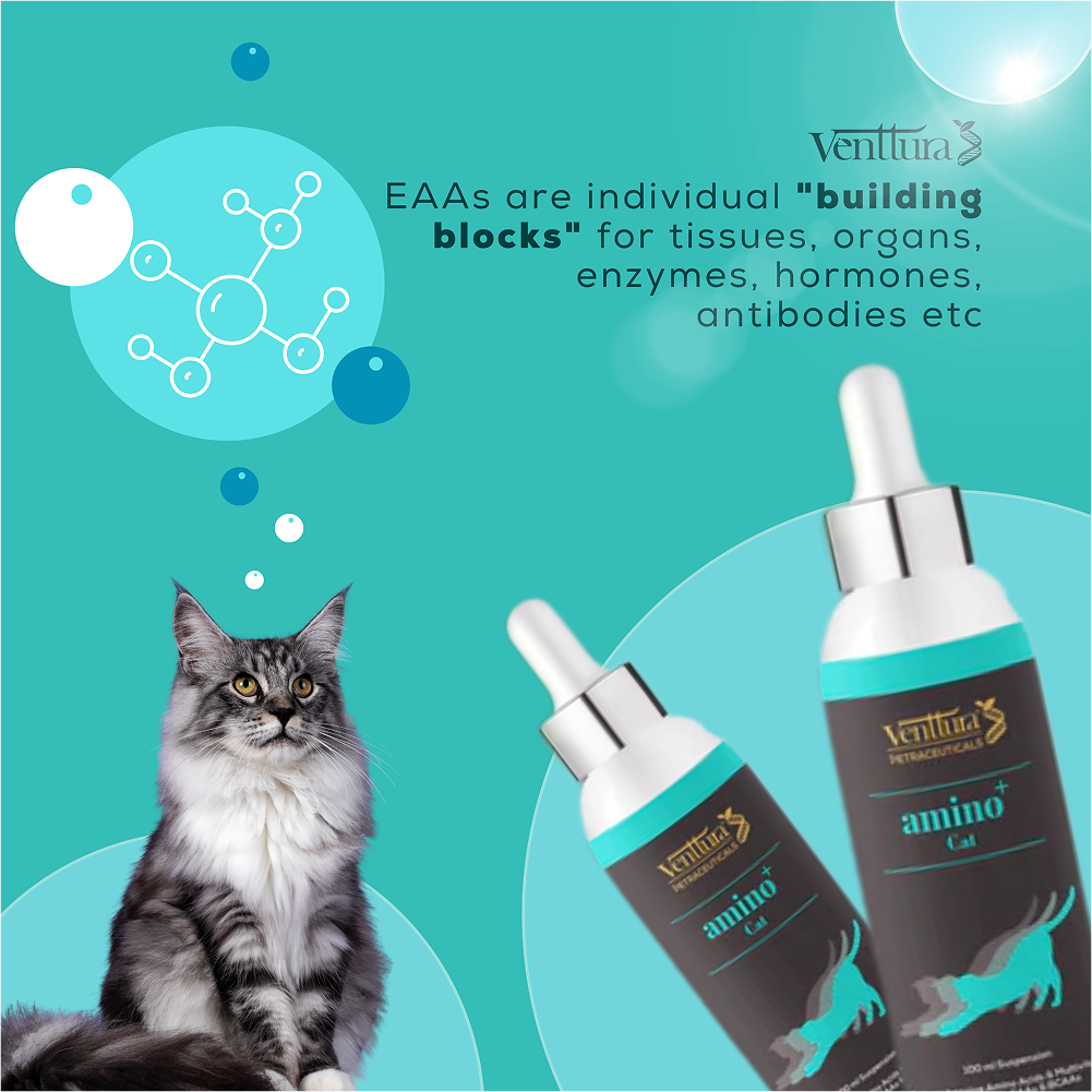 Venttura Amino Acids & Vitamin Supplement for Cats image 3