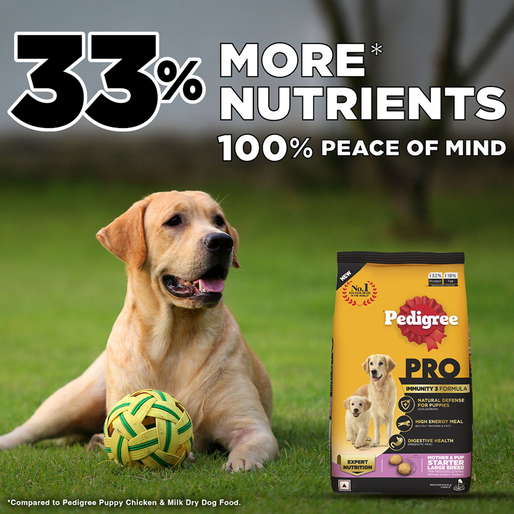 Pedigree PRO Expert Nutrition Lactating/Pregnant Mother & Puppy Starter(3 to 12 Weeks) Large Breed Dog Dry Food (Limited Shelf Life) image 3