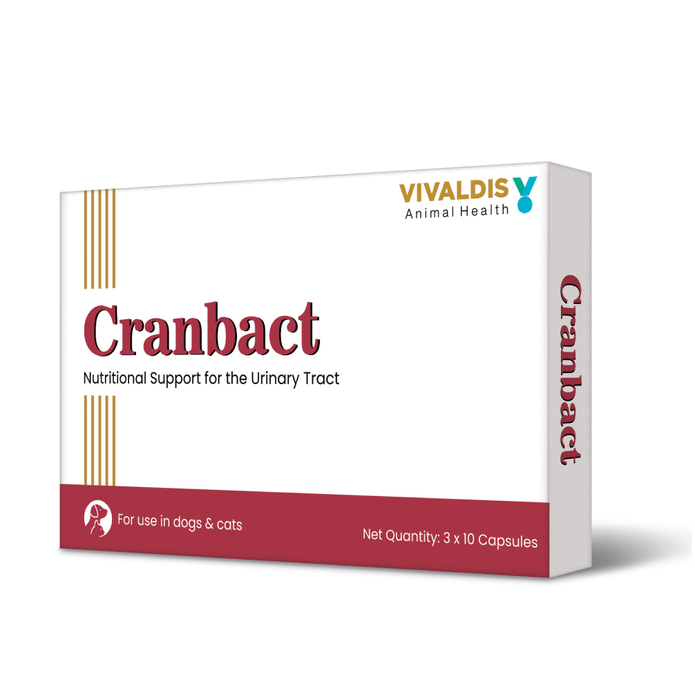 Vivaldis Cranbact Capsules for Dogs and Cats (pack of 30 capsules) image 6