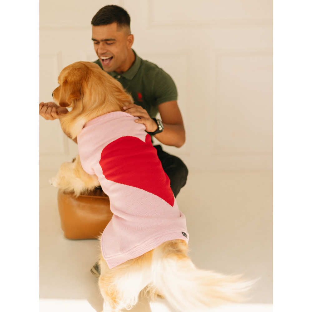 Pet Set Go Ira’s Sweater for Dogs and Cats (Red & Pink) image 9