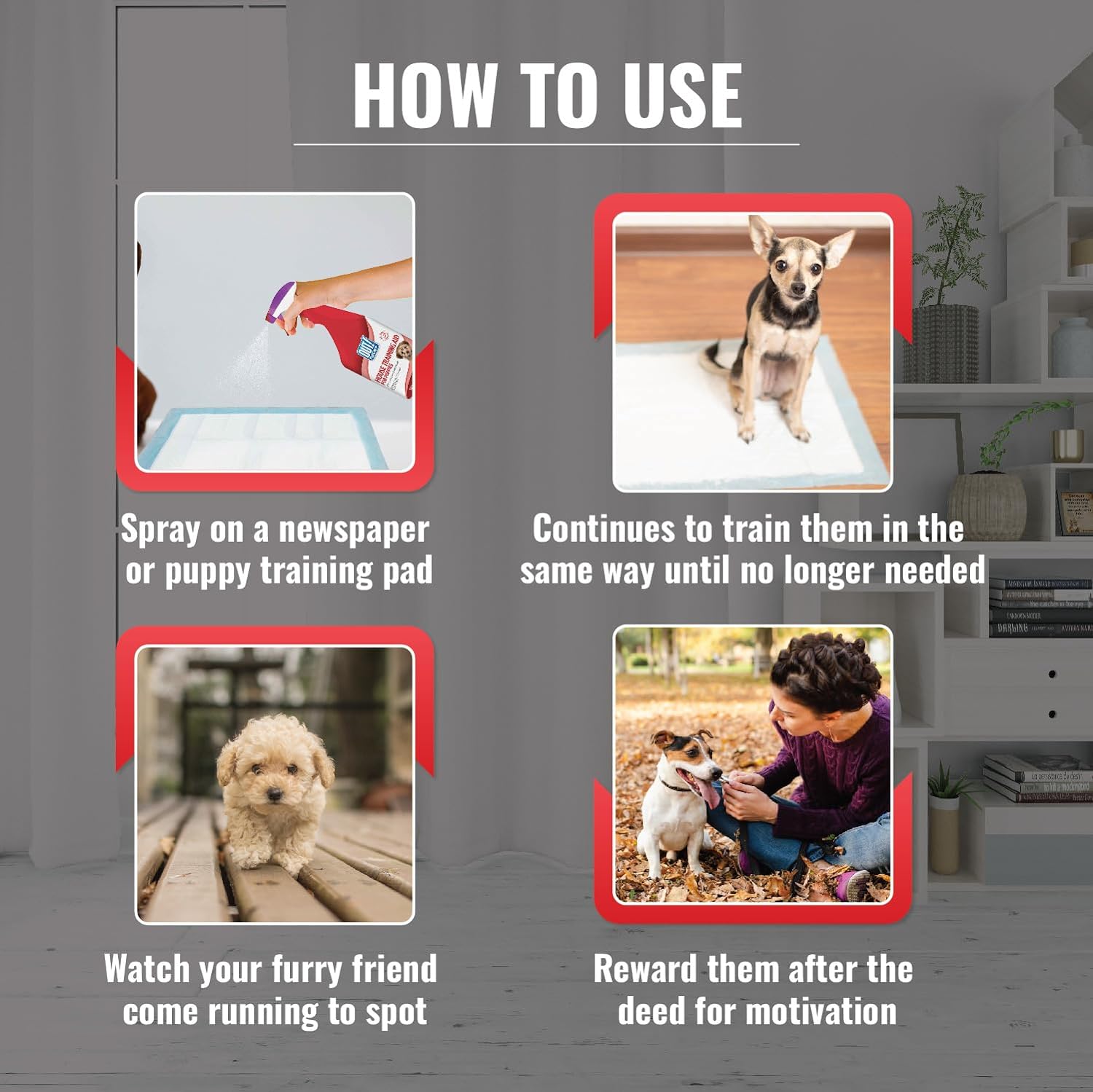 OUT! Toilet Training Aid for Puppies image 3