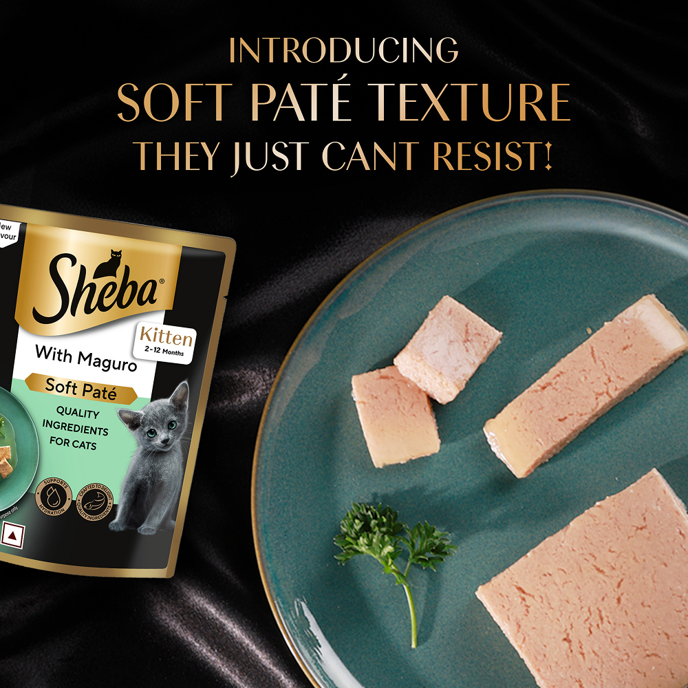 Sheba Maguro Pate Rich Premium Kitten Cat Wet Food image 2