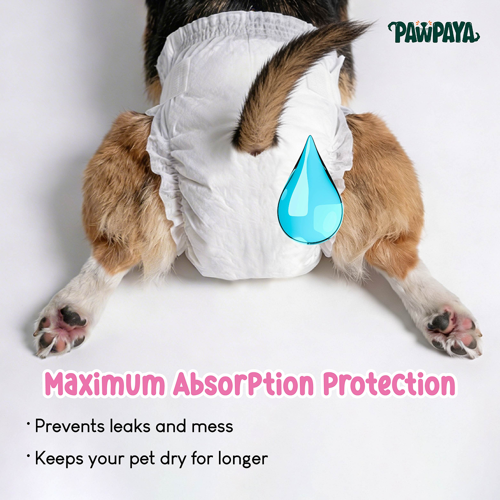 Pawpaya 100% Leak Proof Disposable Diapers for Female Dogs image 3