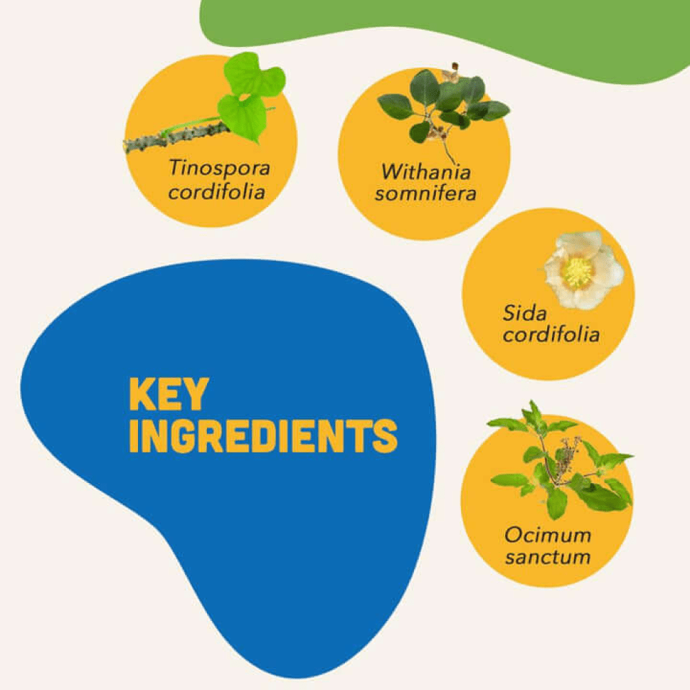 Natural Remedies Junior Bites for Dogs image 4