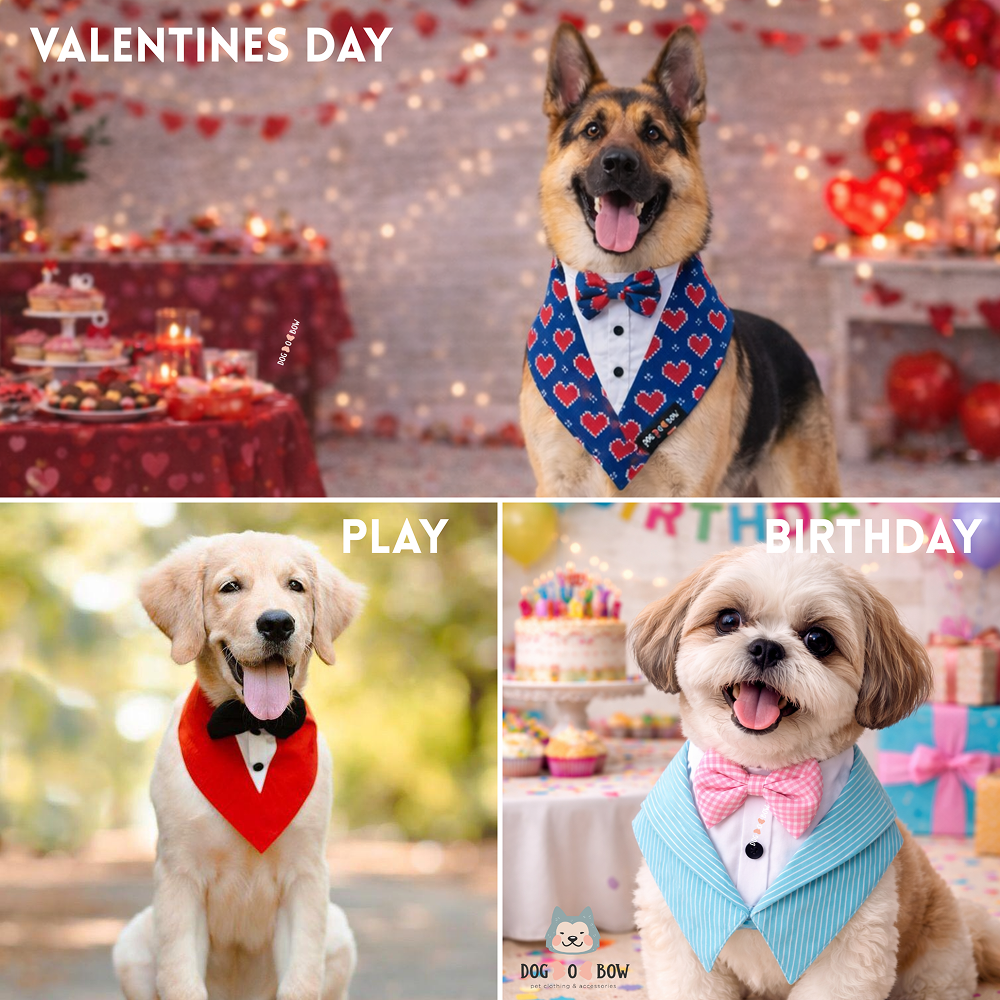 Dogobow Tuxedo Bandana for Dogs (Red) (Get a Bow Free) image 9