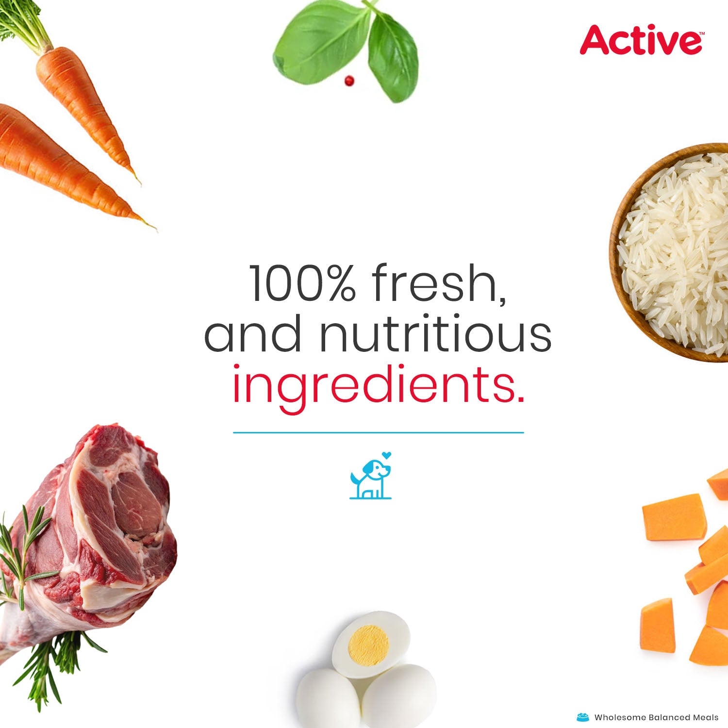 Active Mutton Biryani Fresh Food for Dogs (Buy 1 Get 1) image 4