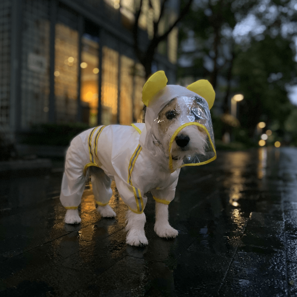 Barkbutler x Fofos Four Leg Yellow Raincoat for Dogs (Button Up Style) image 6