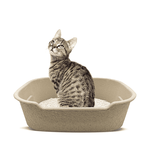 Barkbutler x Fofos Disposable Litter Box for Cats (Beige) image 6