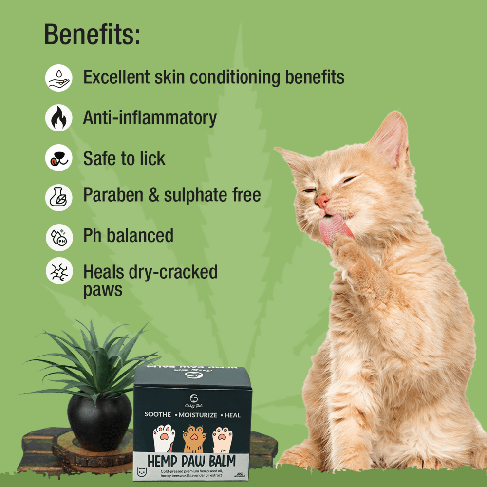 Goofy Tails Hemp Butter Paw Cream for Cats image 2