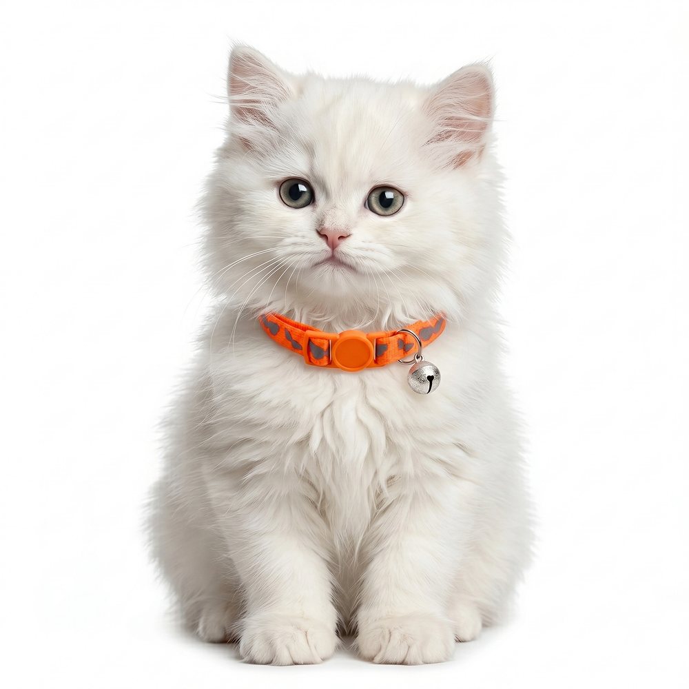Basil Printed Collar for Cats & Puppies (Orange) image 3