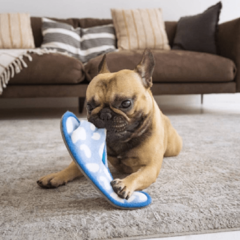 OUT! Chew Stopper for Dogs image 5