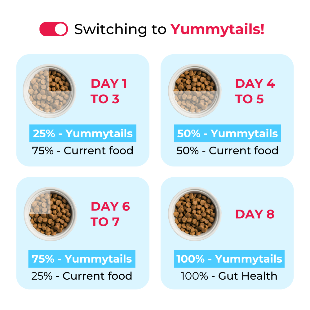 Yummytails Super Premium Mother and Puppy Dry Food | Chicken & Fish Flavor | Corn and Soya Free Formula image 3