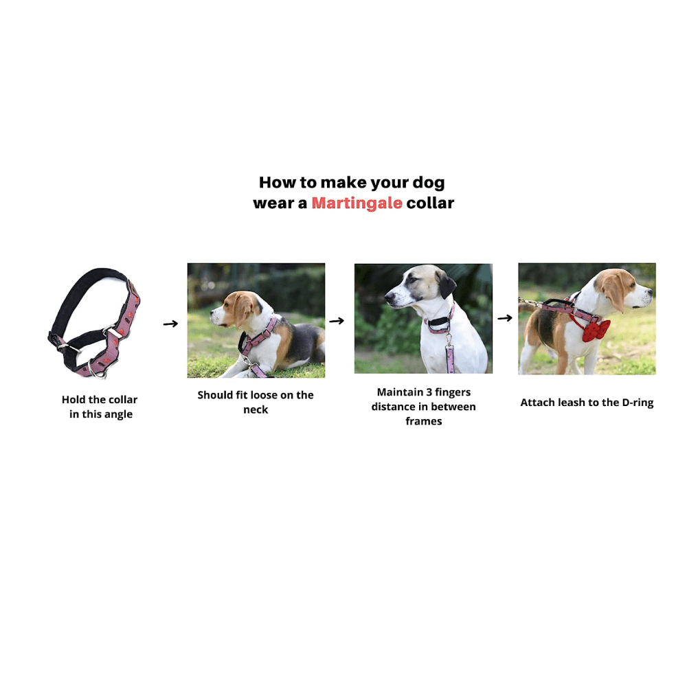 Harry Potter Welcome To Hogwarts Martingale Collar for Dogs image 5