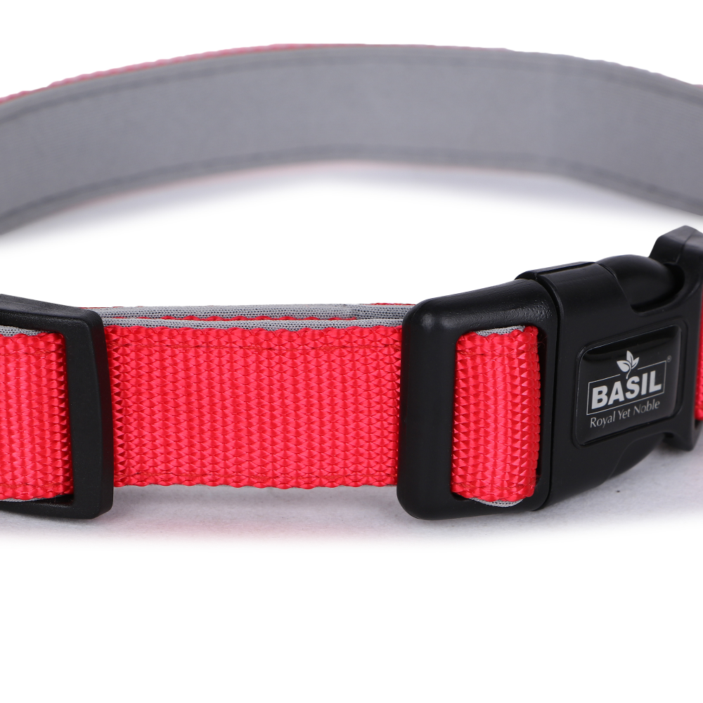 Basil Nylon Padded Collar for Dogs (Red) image 4