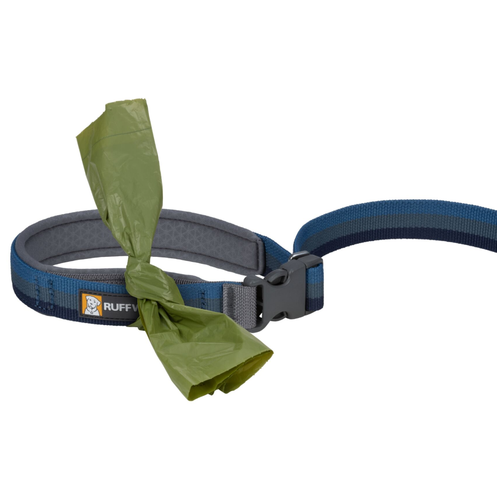 Ruffwear Roamer Bungee Leash for Dogs (Orion Blue) image 3