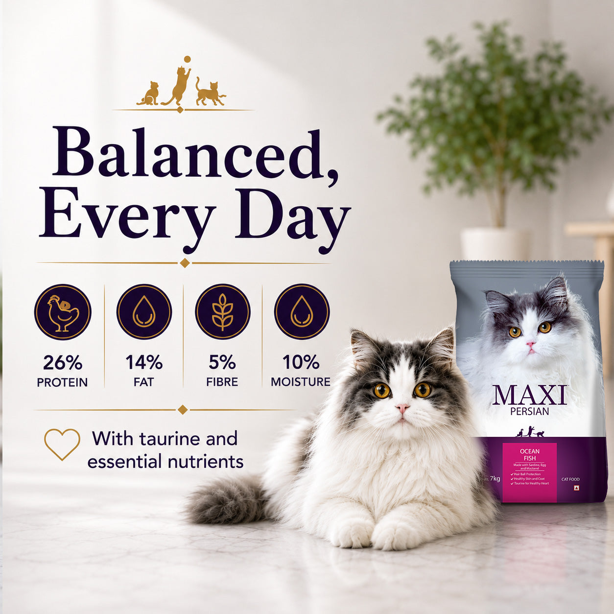 Maxi Persian Adult Cat Dry Food image 2